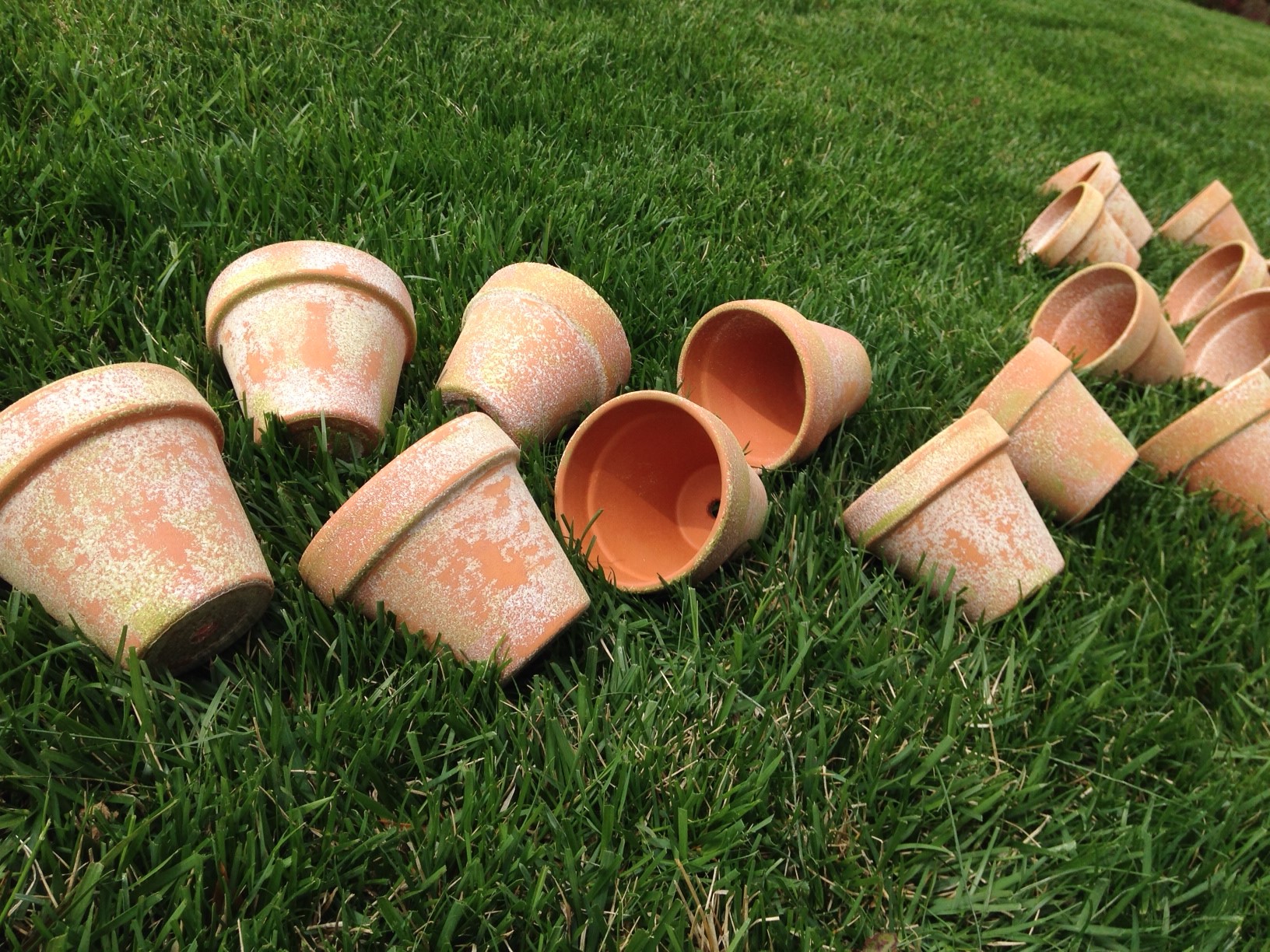 "Aging" Terracotta Pots